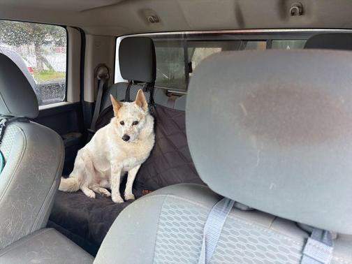 Black Clearcoat 2019 RAM 1500 Tradesman