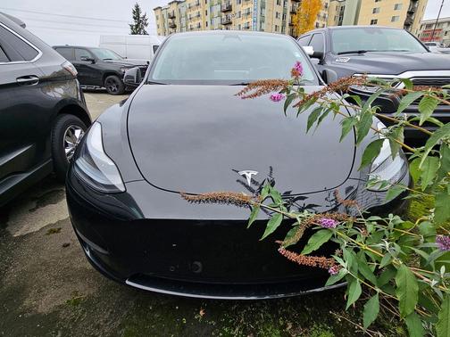 2021 Tesla Model Y Performance Dual Motor All-Wheel Drive