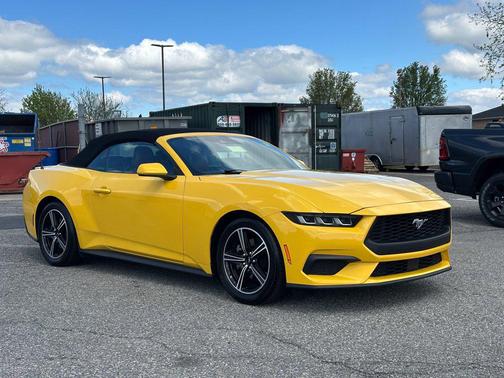 YELLOW SPLASH METALLIC 2024 Ford Mustang EcoBoost Premium
