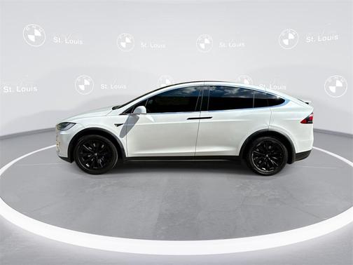 2019 Tesla Model X 