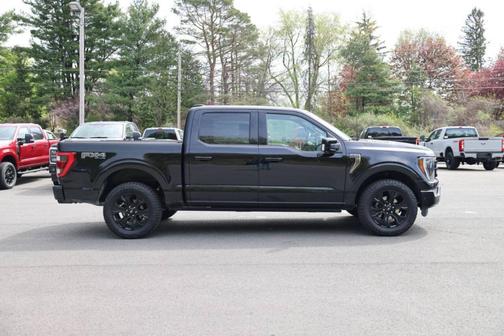 Black Metallic 2023 Ford F-150 Platinum