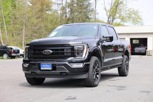 Black Metallic 2023 Ford F-150 Platinum