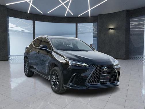 2023 Lexus NX 350 Premium