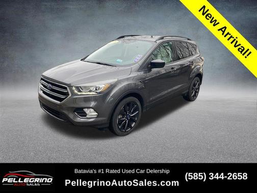 Magnetic 2018 Ford Escape SEL