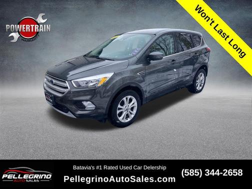 2019 Ford Escape SE