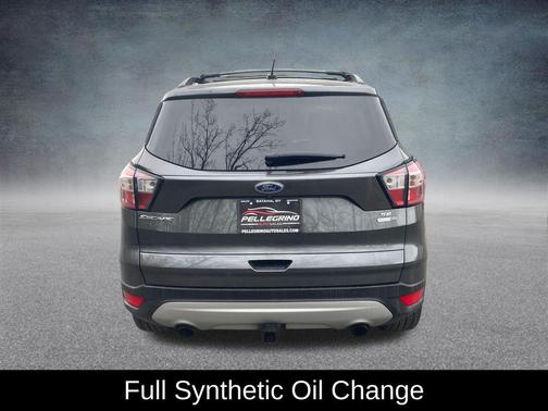 Magnetic 2018 Ford Escape SE