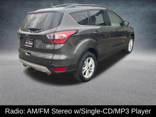 Magnetic 2018 Ford Escape SE