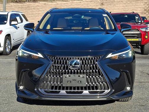 2025 Lexus NX 250 Base