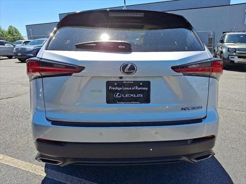 2019 Lexus NX 300 F Sport