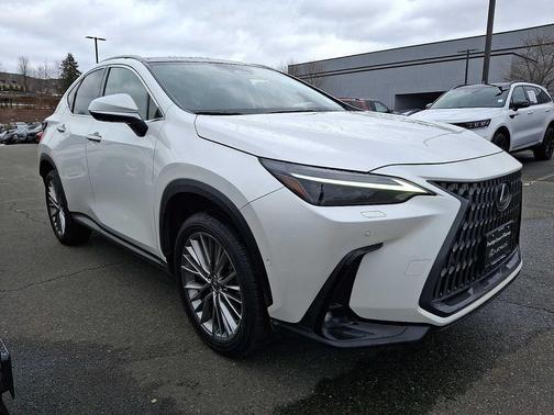 2024 Lexus NX 350h Luxury