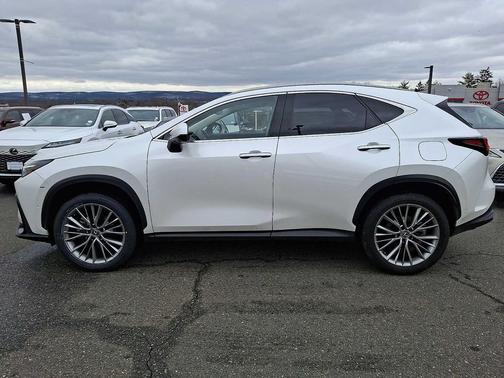 2024 Lexus NX 350h Luxury
