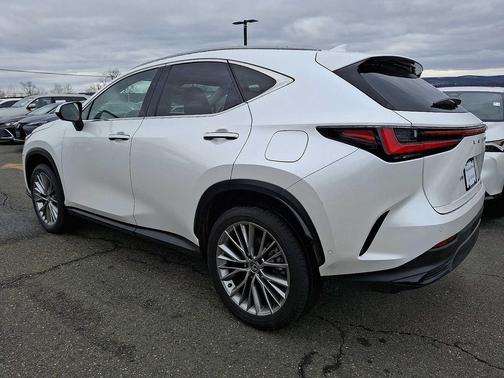 2024 Lexus NX 350h Luxury