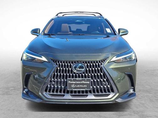 2023 Lexus NX 350 Premium
