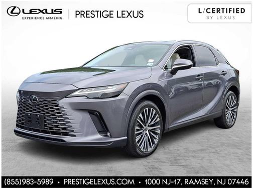 Nebula Gray Pearl 2023 Lexus RX 350 Premium Plus