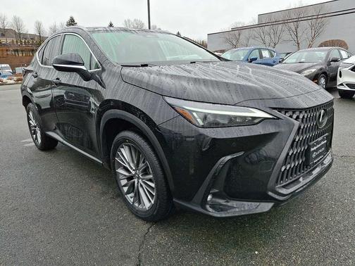 2023 Lexus NX 350h Premium