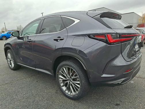 2023 Lexus NX 350 Luxury
