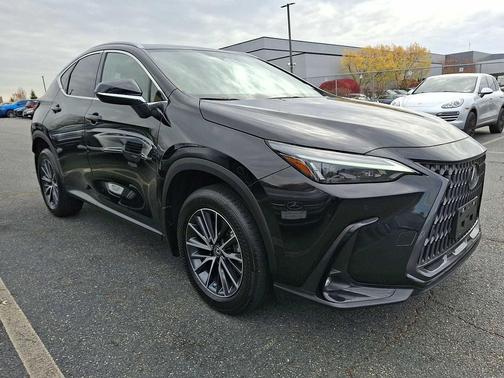2023 Lexus NX 350 Premium