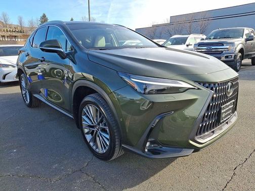 2025 Lexus NX 350 Luxury