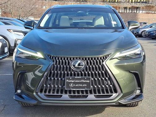 2025 Lexus NX 350 Luxury