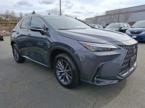 Cloudburst Gray 2024 Lexus NX 350 Premium