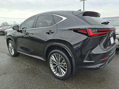 2025 Lexus NX 350 Luxury