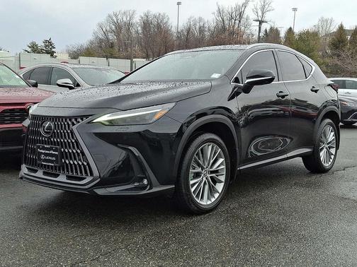 2025 Lexus NX 350 Luxury