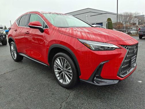2025 Lexus NX 350 Premium