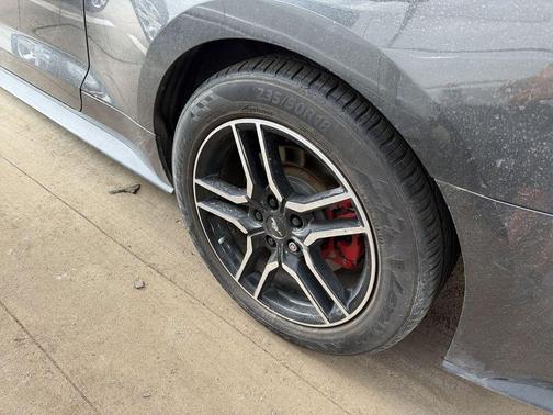 MAGNETIC METALLIC 2019 Ford Mustang GT