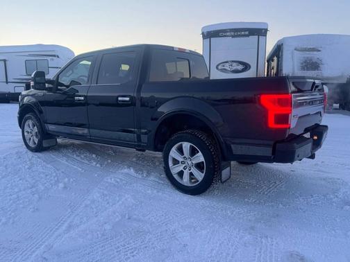 2020 Ford F-150 Platinum