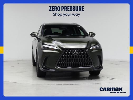 Green 2022 Lexus NX 350 Premium