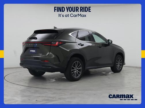 Green 2023 Lexus NX 350 Premium