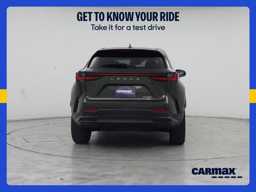 Green 2023 Lexus NX 350 Premium