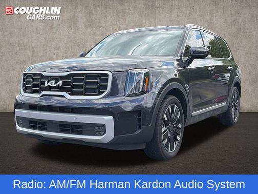 Metal 2025 Kia Telluride SX-Prestige