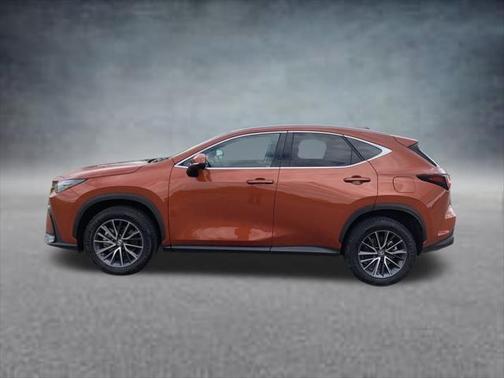 2023 Lexus NX 250 Premium