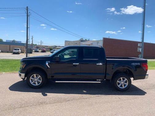Black Metallic 2025 Ford F-150 XLT