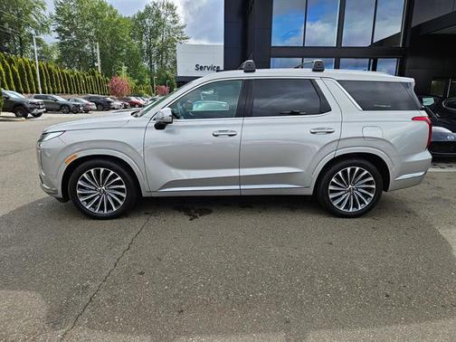 Typhoon Silver 2024 Hyundai PALISADE Calligraphy