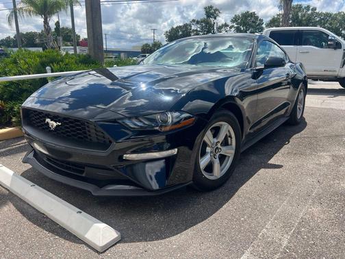 Shadow Black 2019 Ford Mustang EcoBoost