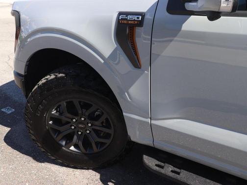 Avalanche 2026 Ford F-150 Tremor