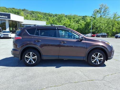 Black Currant 2018 Toyota RAV4 XLE