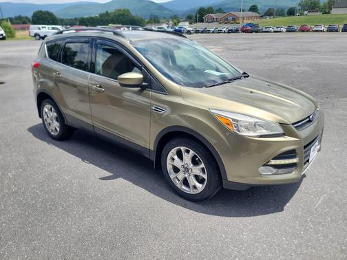 Ginger Ale Metallic 2013 Ford Escape SE