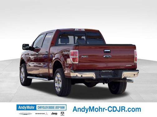 Sunset 2014 Ford F-150 XLT