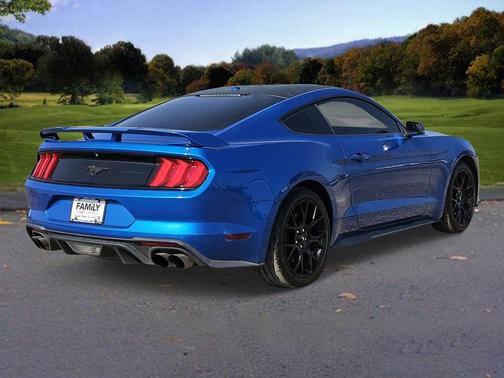 2019 Ford Mustang EcoBoost Premium