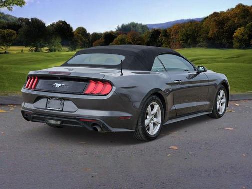 2019 Ford Mustang EcoBoost