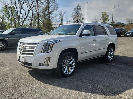 Crystal White Tricoat 2019 Cadillac Escalade Platinum
