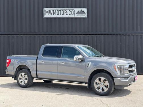 Carbonized Gray Metallic 2021 Ford F-150 Platinum