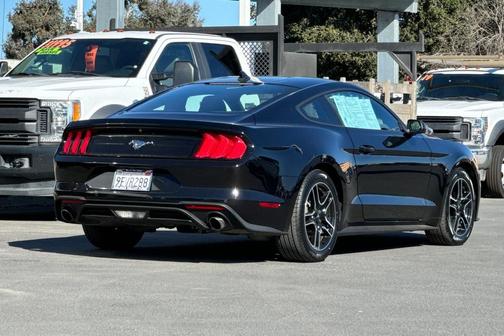 2022 Ford Mustang EcoBoost