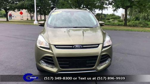 GINGER ALE METALLIC 2014 Ford Escape Titanium