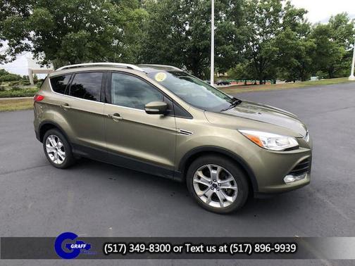 GINGER ALE METALLIC 2014 Ford Escape Titanium