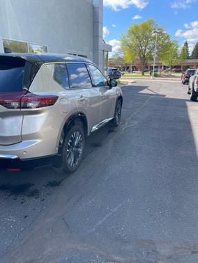 Champagne Silver Metallic/Super Black 2024 Nissan Rogue Platinum