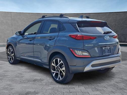 Cactus Fern 2022 Hyundai KONA Limited